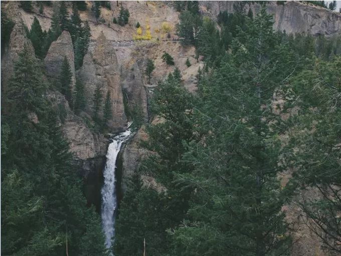 forestWaterfall