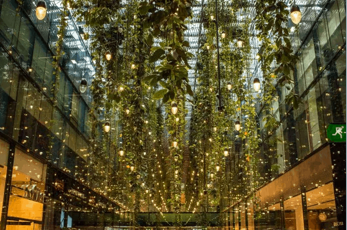 mallPlants