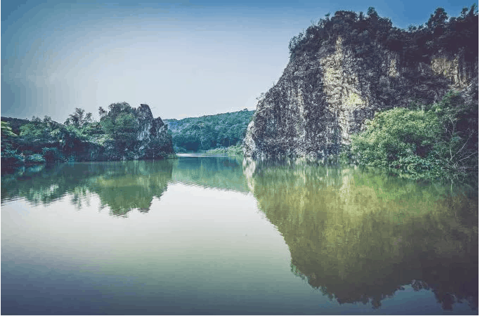 waterTrees